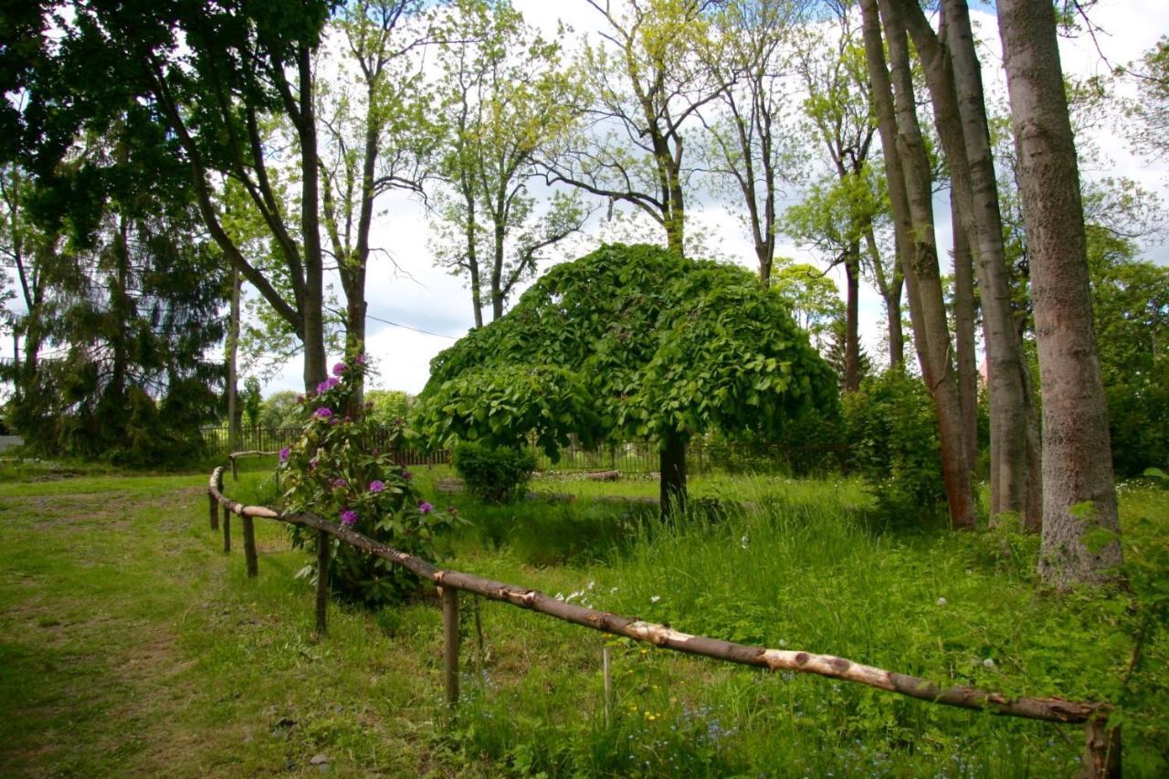 Villa Sunshine / Slunecna Vila Красна-Липа Экстерьер фото